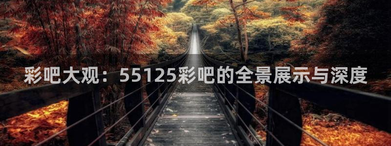 彩名堂-ng大舞台,有梦你就来：彩吧大观：55125彩吧的全景展示与深度