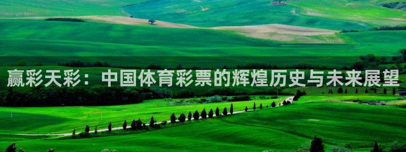 彩名堂网站：赢彩天彩：中国体育彩票的辉煌历史与未来展望