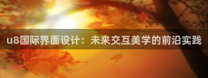 壹号平台注册链接官网下载：u8国际界面设计：未来交互美学的前沿实践